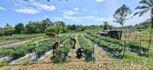 Konektivitas Lancar, Ekonomi Mengalir