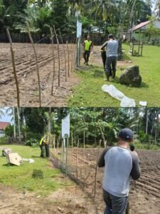 Kepedulian Babinsa Terlihat Saat Bantu Pemasangan Pagar Kebun Warga