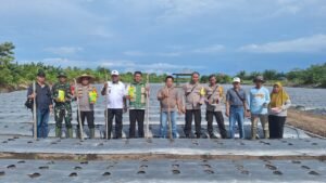 Babinsa Koramil 1203-12/Delta Pawan Hadiri Kegiatan Penanaman Jagung di Desa Tempurukan