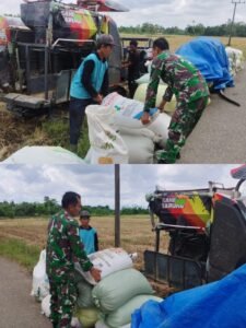 Sertu Ariyanto Turun ke Sawah Bantu Warga Angkut Padi