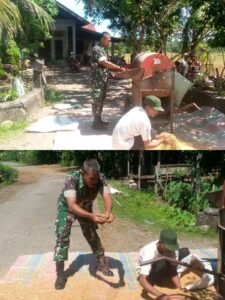 Babinsa Kodim 0105/Aceh Barat Dampingi Petani dari Tanam hingga Panen