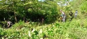 Babinsa Bersama Warga Bersihkan Rumput Liar di Pinggir Jalan