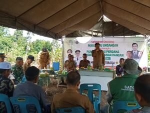 Danramil 03/Setia Bakti Hadiri Panen Jagung Perdana Program Ketahanan Pangan di Aceh Jaya