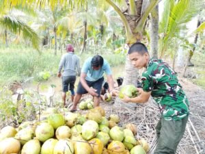 Kopda Dede dan Obrolan di Kebun Kelapa yang Memperkuat Solidaritas Warga Tamban Bangun