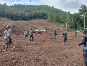 Deretan Lubang di Batulappa Jadi Awal Penanaman Alpukat untuk Masa Depan Desa Langi