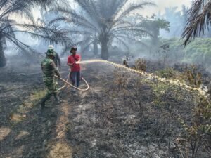 Sinergi Tanggap Bencana, Anggota Koramil 1203-07/Marau Padamkan Karhutla di Desa Tanah Hitam