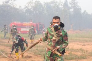 Kodim 1006/Banjar Turun Tangan, Karhutla di Jalan Gubernur Subarjo Berhasil Disekat