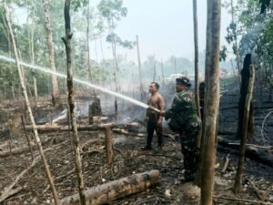 Jaga Lingkungan, Babinsa dan Tim Gabungan Berjibaku Padamkan Karhutla di HSS