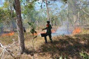 Babinsa Koramil Sota Cepat Padamkan Api di Pinggiran Hutan Merauke