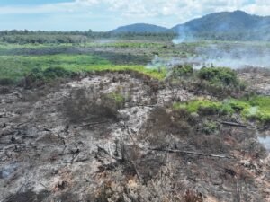 TNI dan BPBD Lanjutkan Pendinginan Bara di Lahan Gambut Bakongan