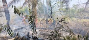 Koramil Tumbang Titi dan Mitra Padamkan Karhutla di Ketapang