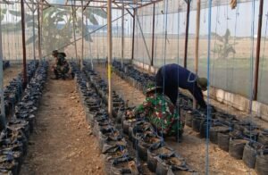 Satgas TMMD Pelajari Hidroponik Melon dari Petani Parangjoro