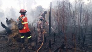 Tak Cukup Padamkan Api, Kodim 1203/Ketapang Lanjutkan Pendinginan Area Karhutla